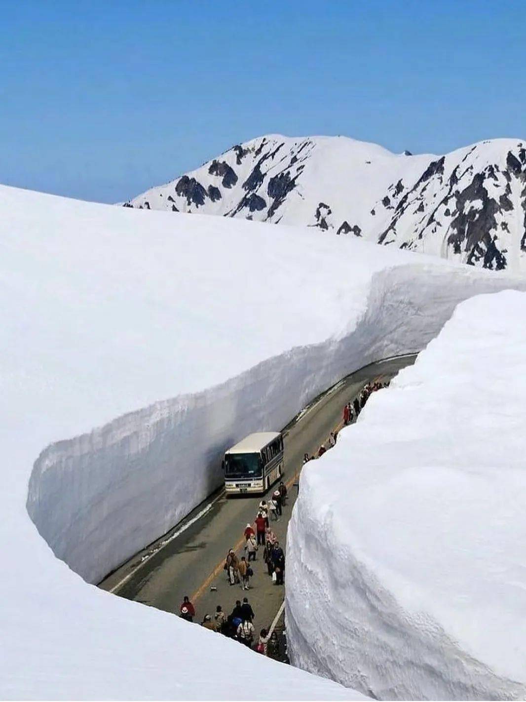 春天来临时,去雪之大谷散步看雪_立山_积雪_路线