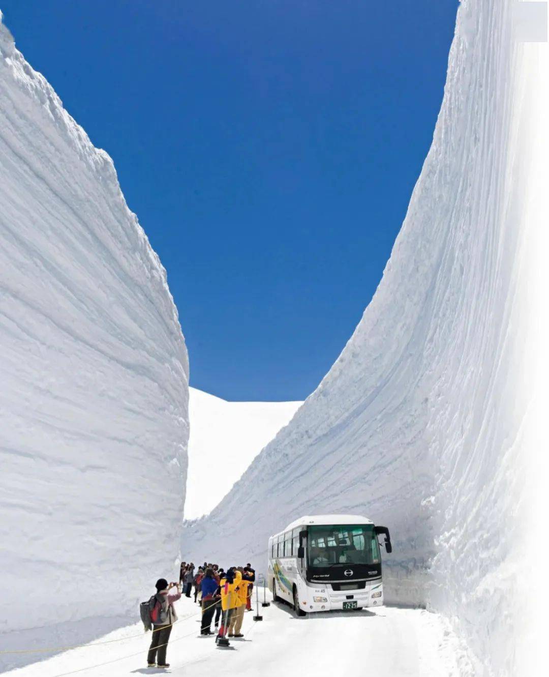 春天来临时,去雪之大谷散步看雪_立山_积雪_路线