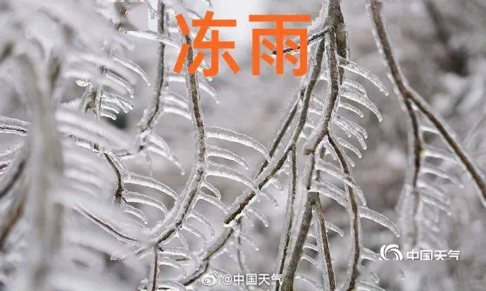 冻雨拥有哪些"超能力"?