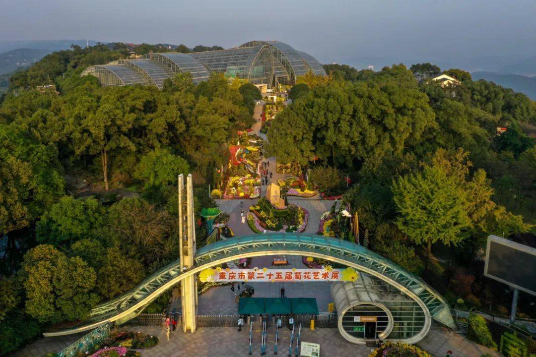 重庆_花名册_植物园