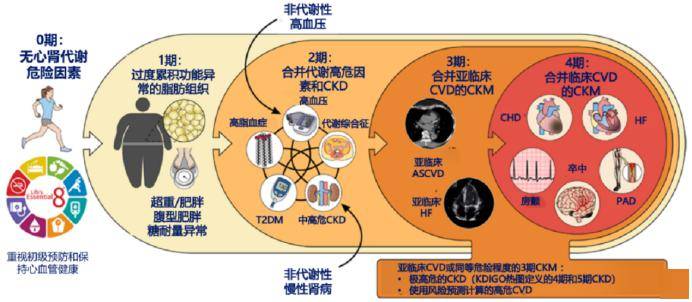 「半年一次」,新藥,新概念,新證據|2023 代謝性心血管