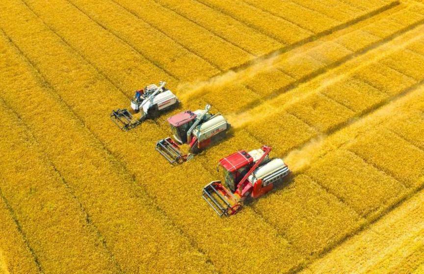 关系房地产、降准、人工智能赋能新型工业化……国务院本周政策
