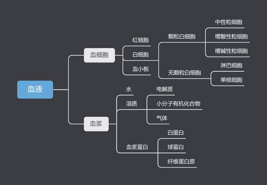 白细胞基本结构图图片