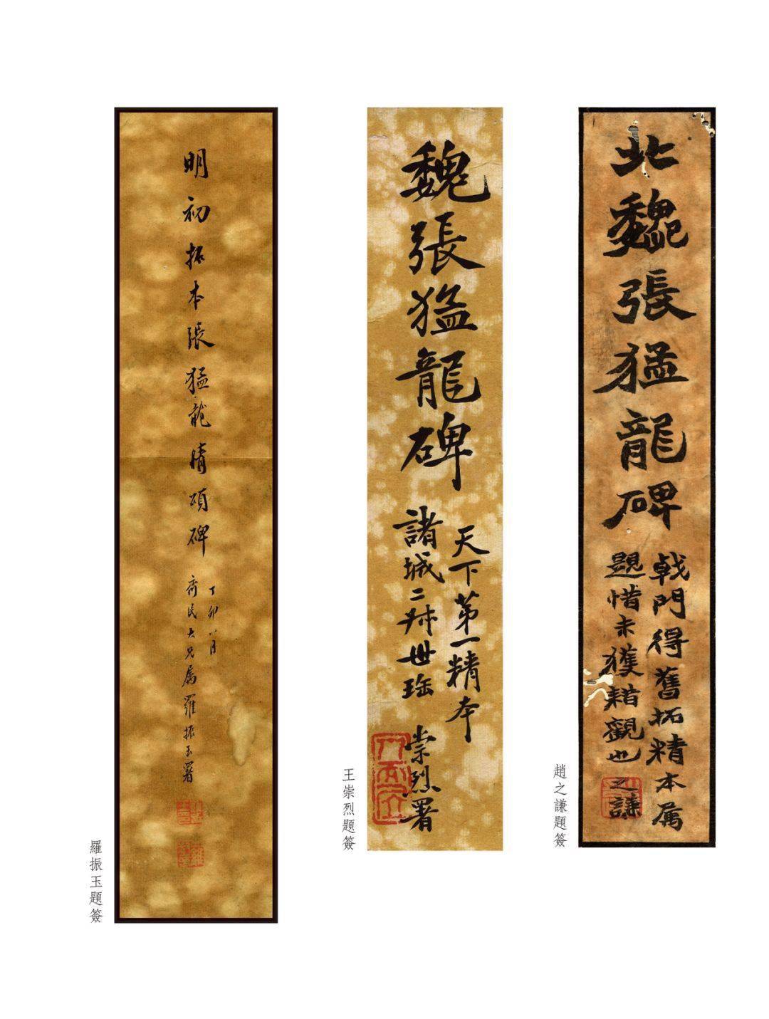 《张猛龙》原石高清图与明拓善本_拓本_先生_碑刻