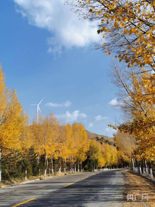 山西省朔州市平鲁区13名“最美保洁员”获表彰
