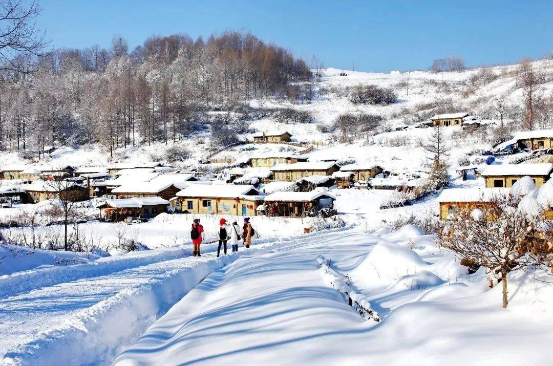 跟著官方走!_文化_冰雪