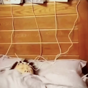 搞笑GIF：熊孩子绝对坑爸妈，这大奔算是废了_赵大妈_女儿_什么