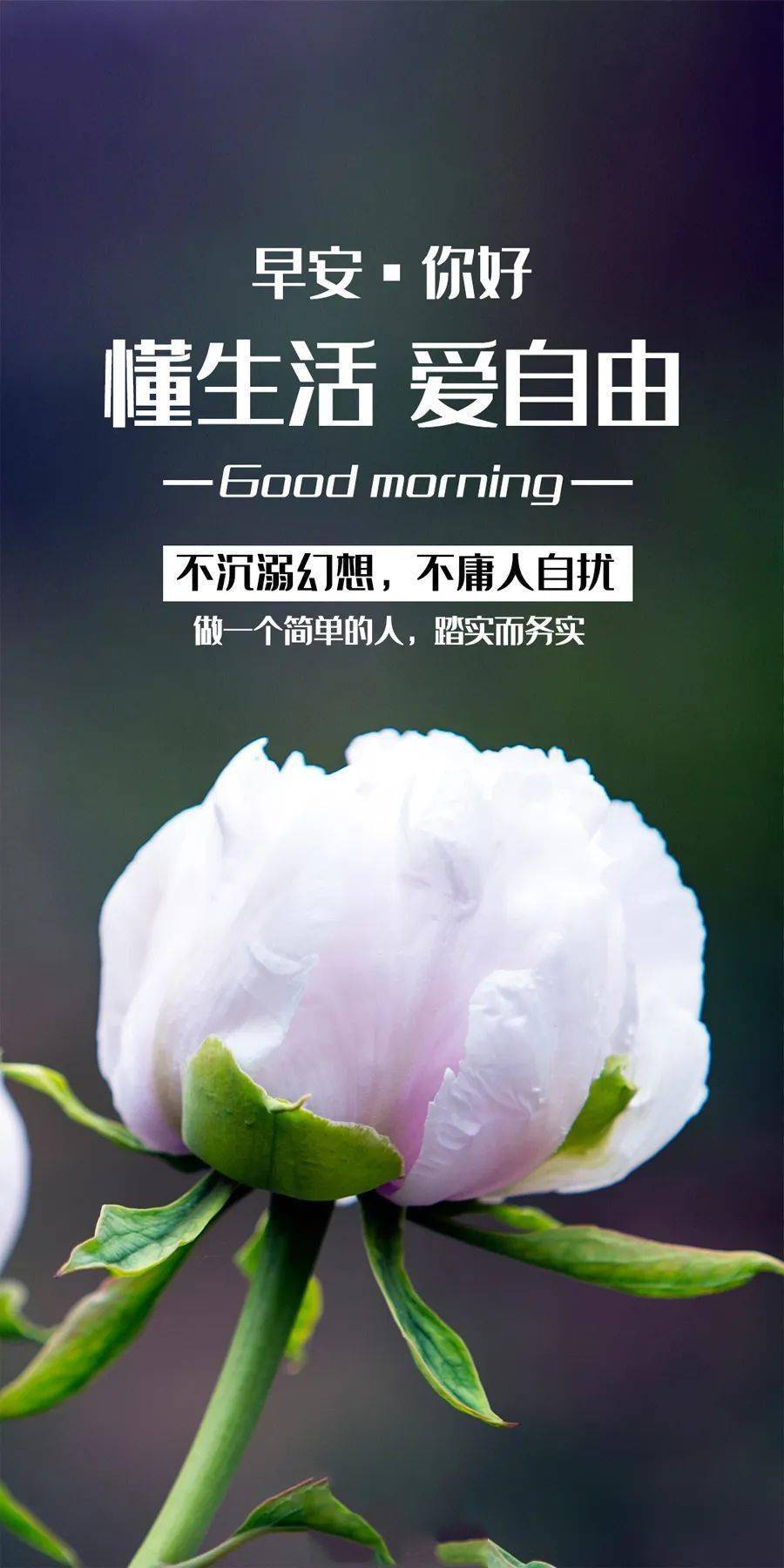 一日一句早安图片(一日一句早安语)