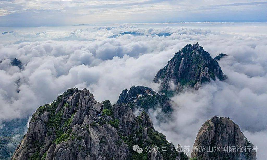 景区,车程约1小时,游览【黄山风景区】,游黄山全景(游览时间约六小时)