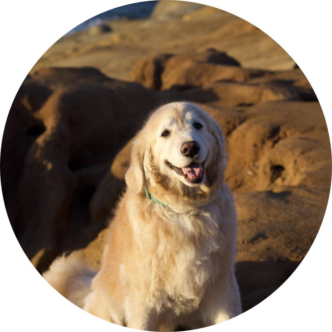 对不起哥大,我错了,我不该这样对你_建筑人_设计_学期