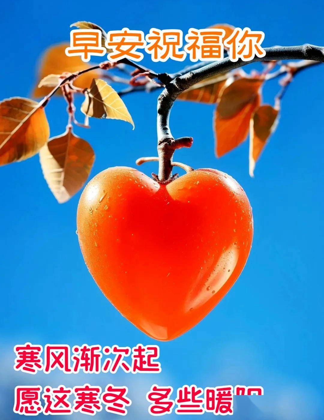 2024最新早上好表情包,天气很冷了,注意保护多穿衣裳保暖,多喝热水防