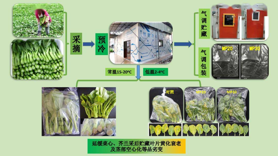 湖北农业科技公司的创新步伐