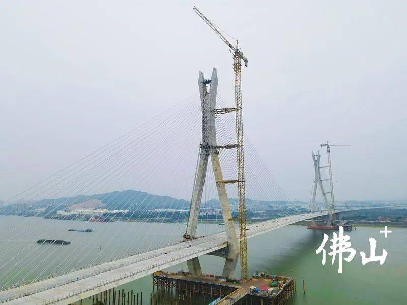 高明富龙西江特大桥图片
