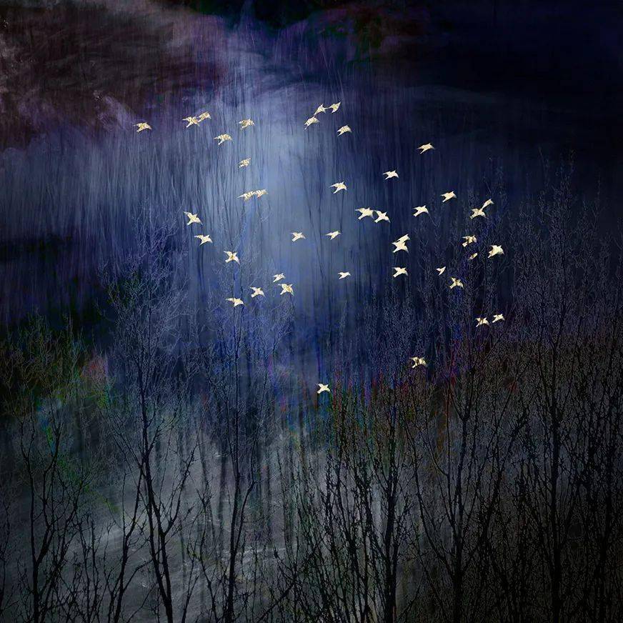 印象派摄影 | 摄影师jo stephen的梦幻自然世界_作品_影响_生活