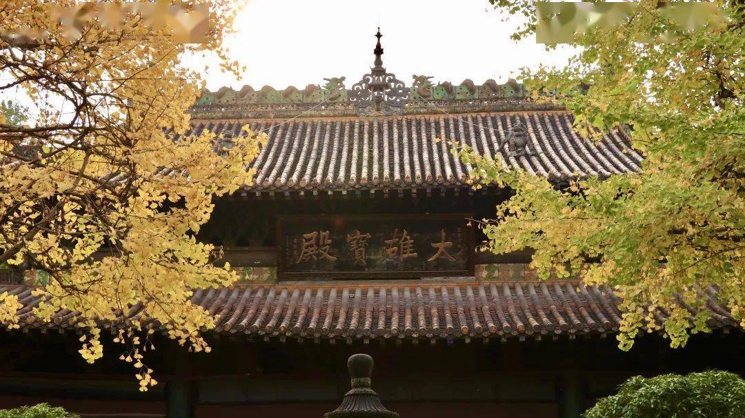 地址:宝轮寺沙坪坝凤凰寺时间:2024年2月9日至24日到古镇赏民俗01古风