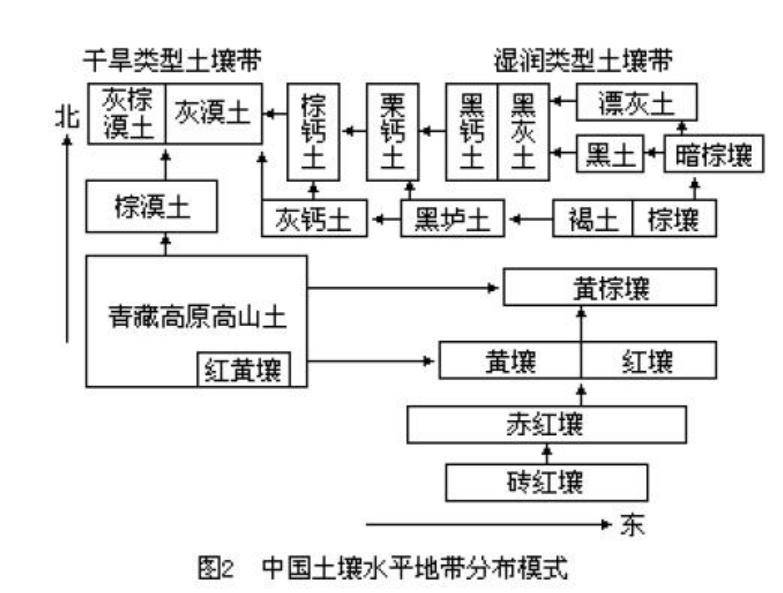 土壤分层图结构图图片