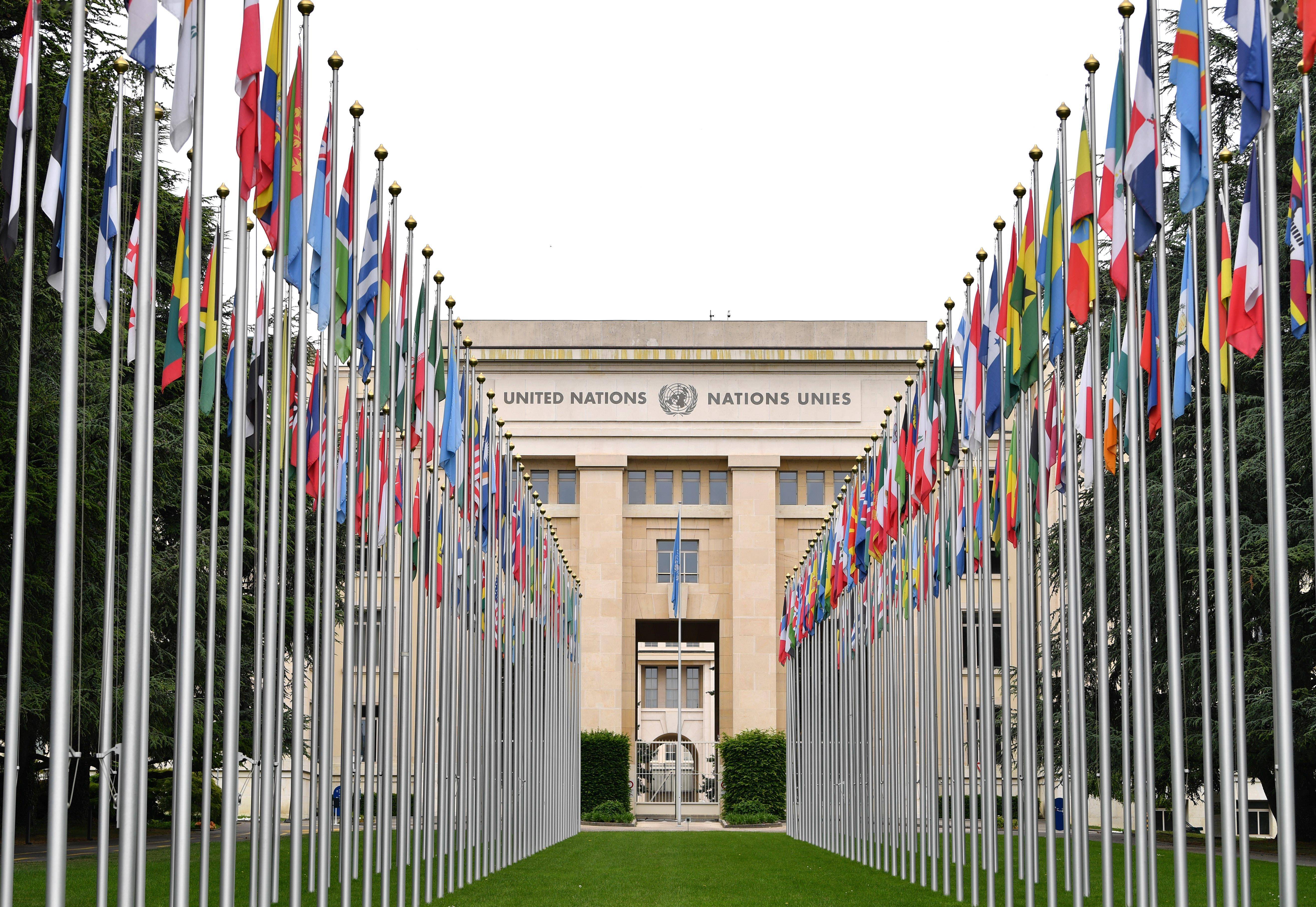 参考消息网1月31日报道沙特阿拉伯《阿拉伯新闻》日报网站1月27日刊登