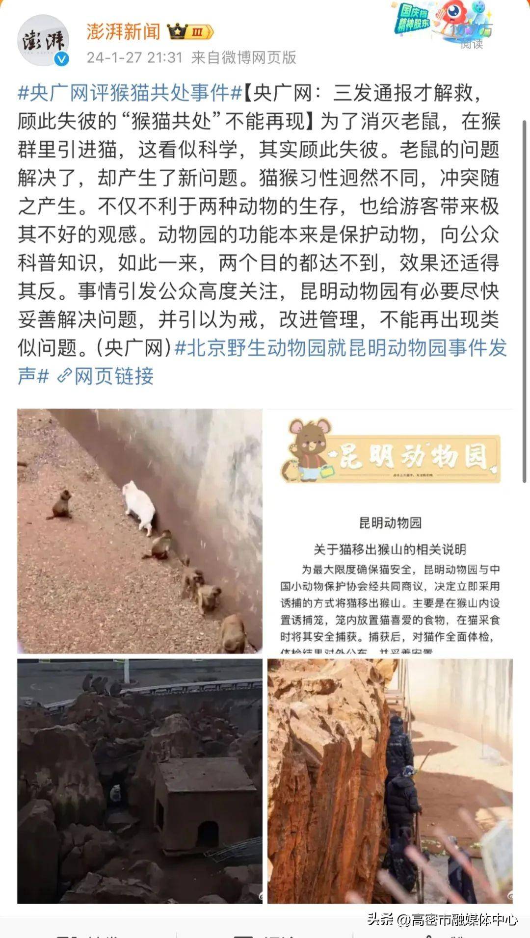 骂完昆明动物园虐猫,我们能为孩子做什么?_表演_猴子_红山