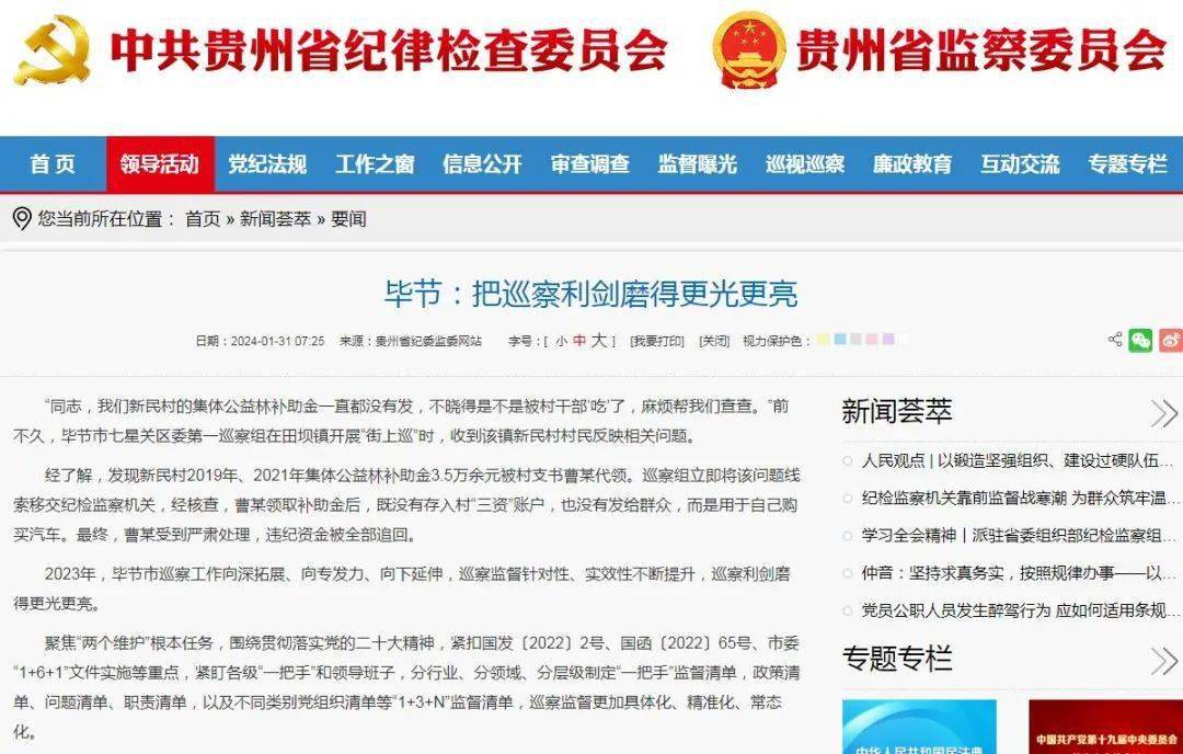 贵州省纪委监委网站丨毕节:把巡察利剑磨得更光更亮_问题_整改_监督