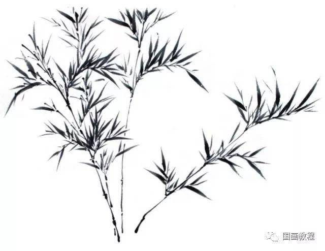 【国画教程】竹子丛竹的画法 ,学会这些,几分钟一幅画