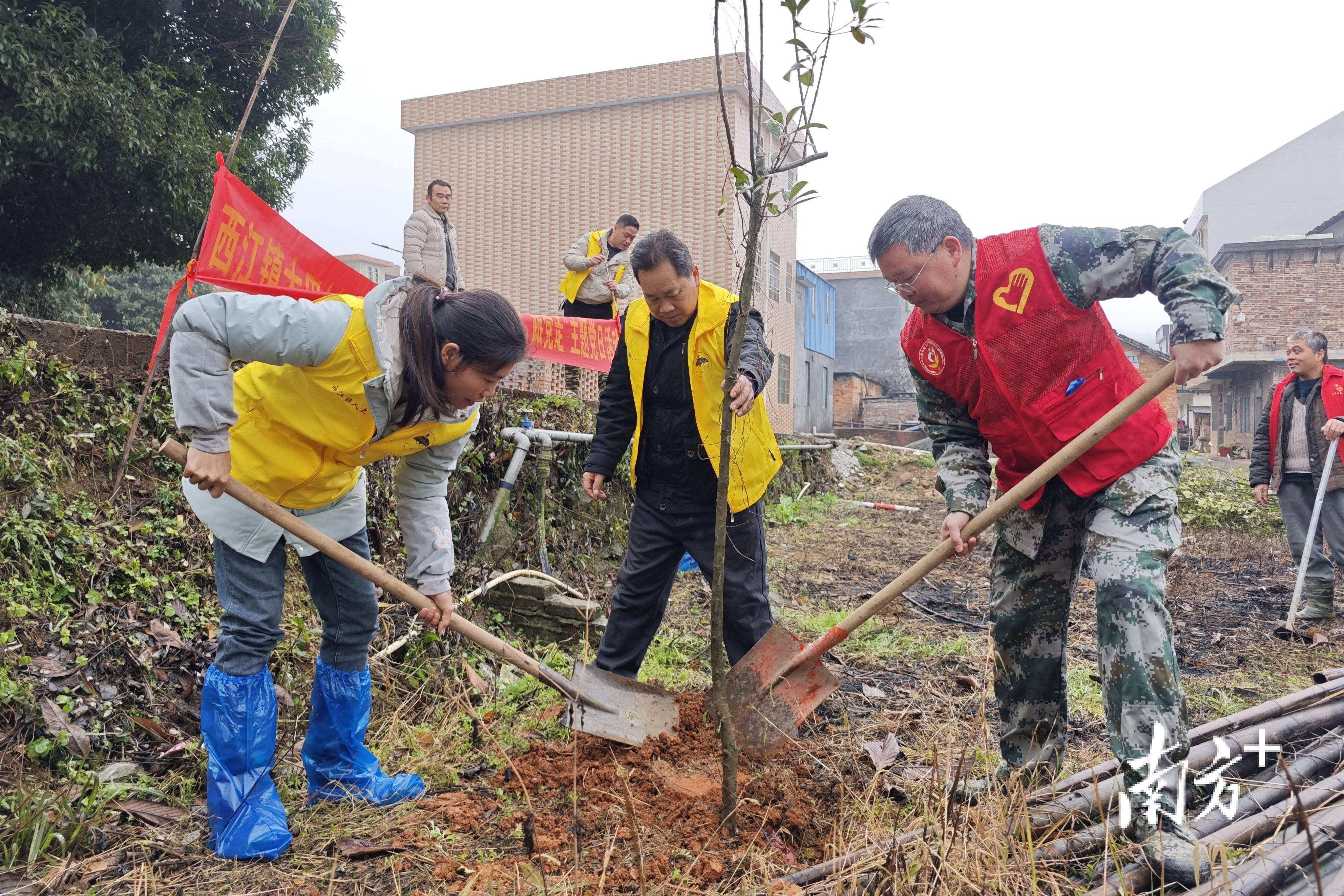 江南JN·体育：原标题：西江退役军人植树