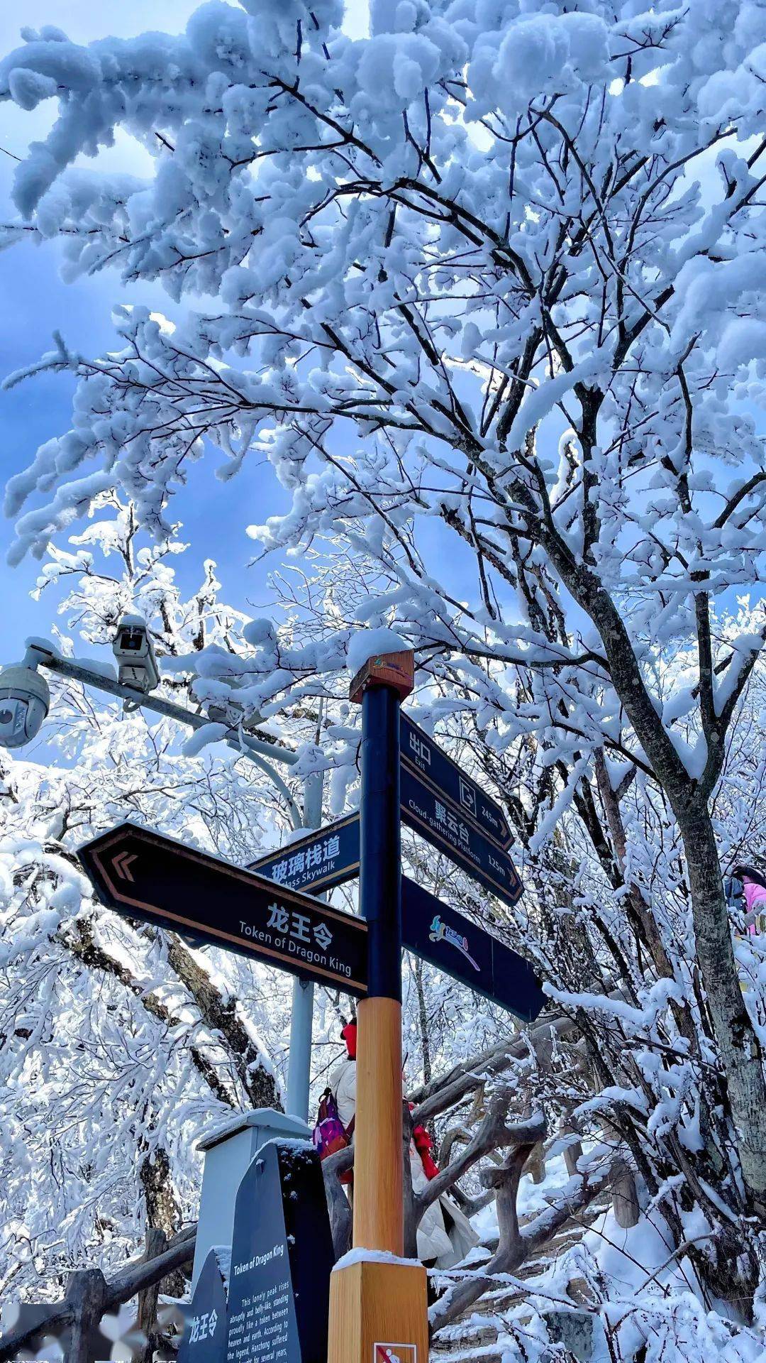 龙头山雪景说说图片