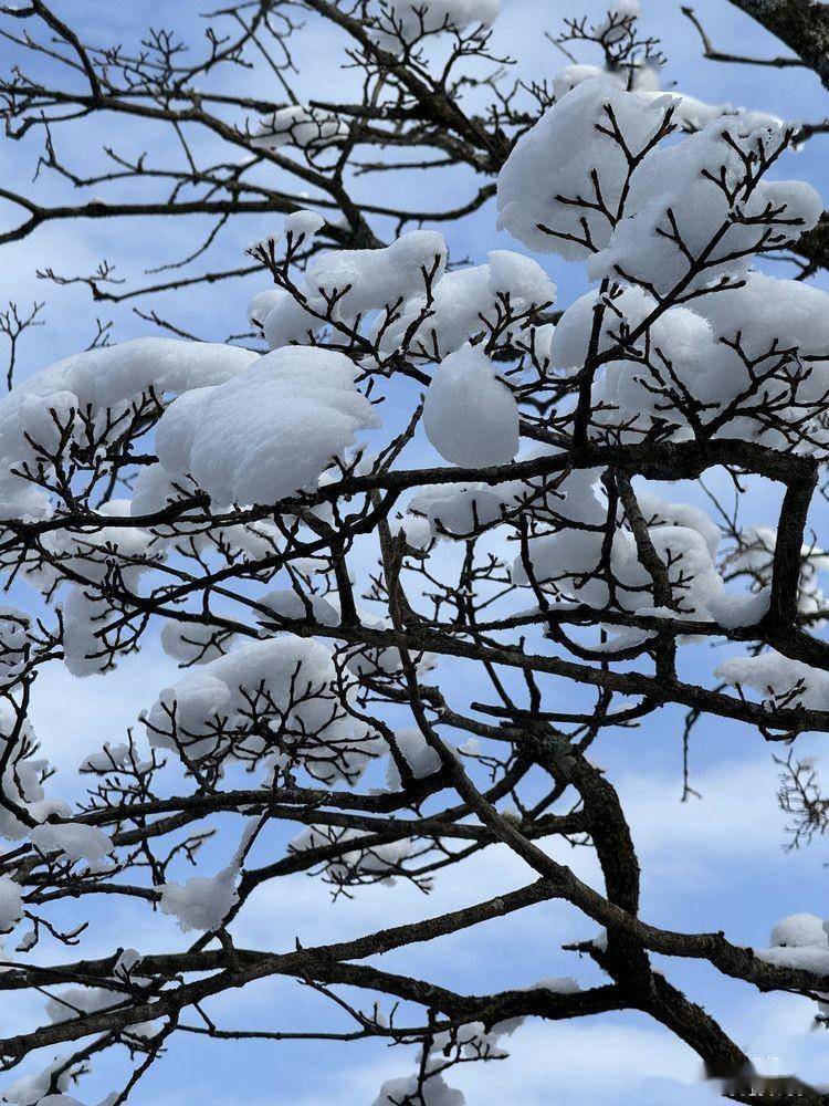 紫柏山雪景图片