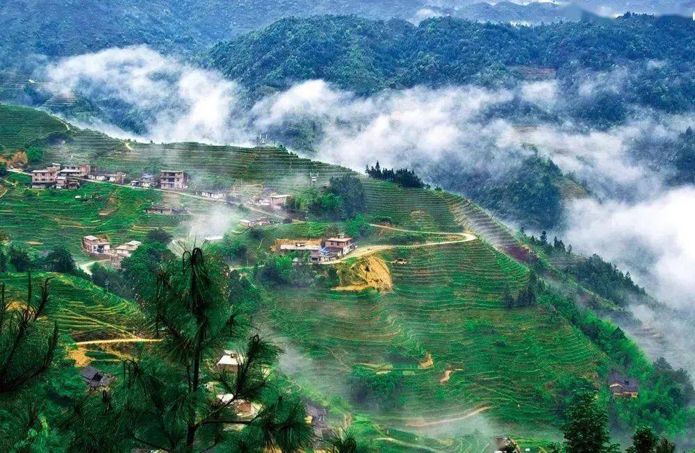 【春节有房】安溪国心绿谷茶庄园,亲子家庭趣嗨省心推荐_孩子_云端