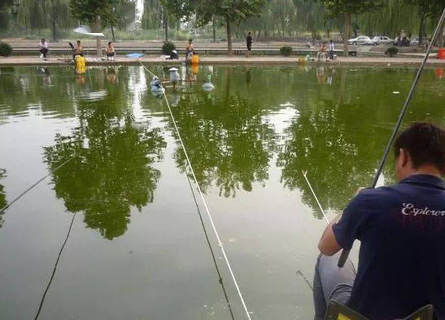 为什么很多钓鱼人不愿意玩黑坑,是怕花钱还是没技术_收费_爱好者_鱼塘