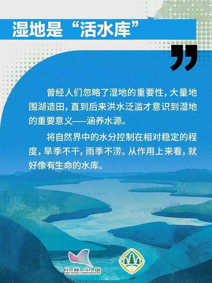 世界湿地日:为什么要保护湿地?
