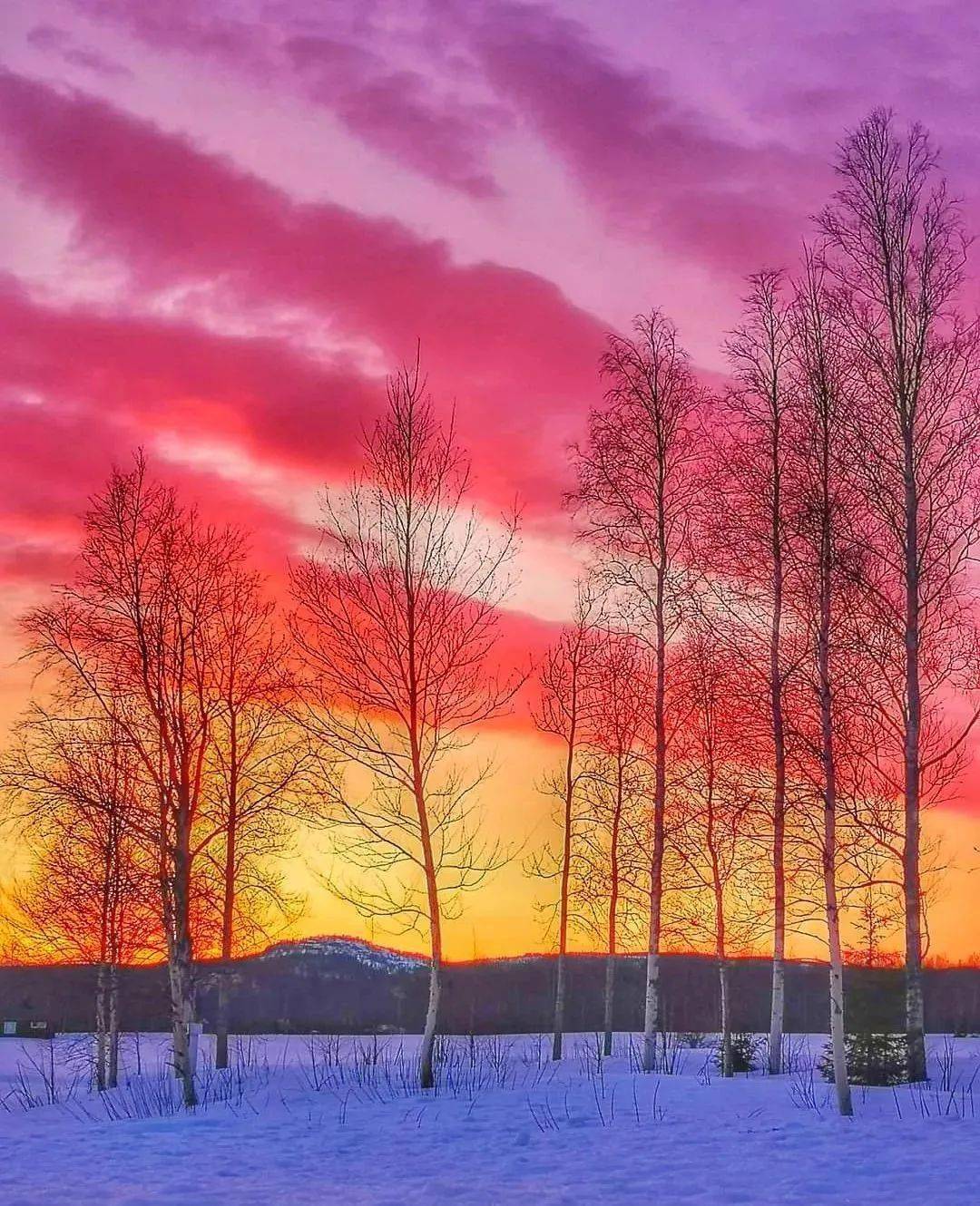 温柔暮色林间雪梦