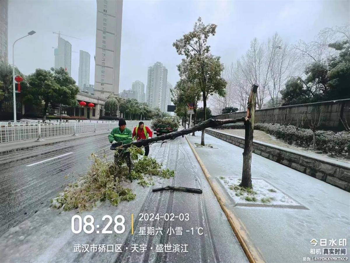 (来源:张天一摄于滨江公园)今晨(3日)6时05分,武汉中心气象台发布低温