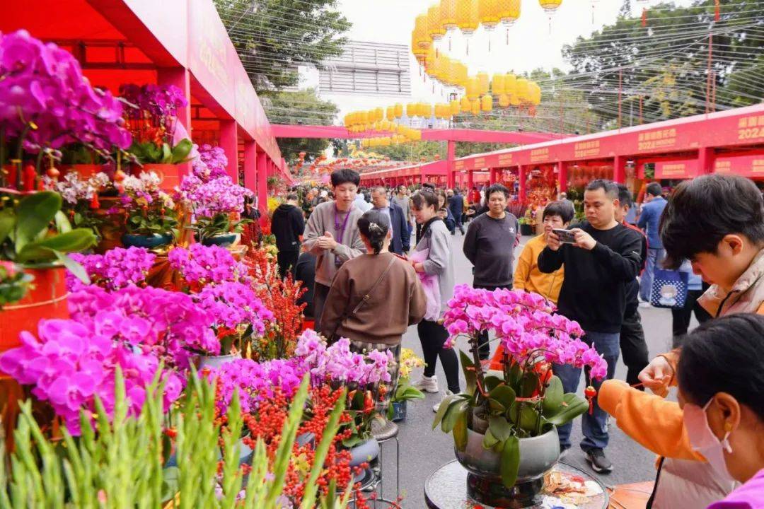 2024深圳迎春花市来了!记者现场直击→_罗湖_市民_文化
