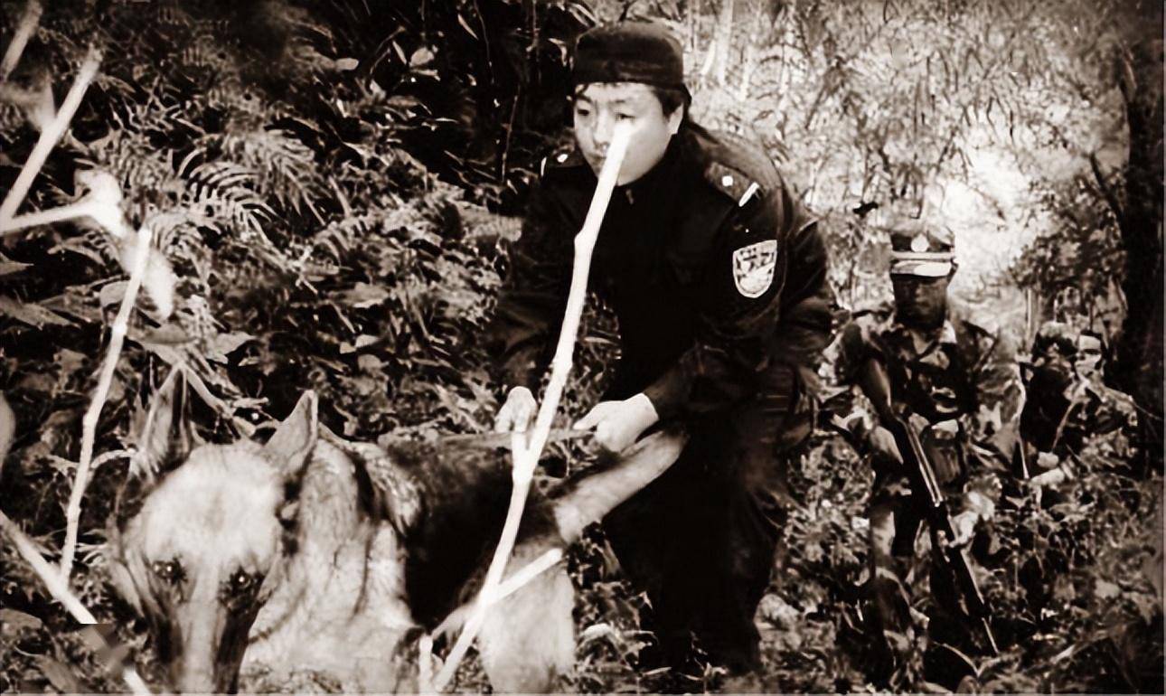 1983年东北二王多省犯罪,为抓捕两名悍匪,国家出动足足3万军警_王宗坊