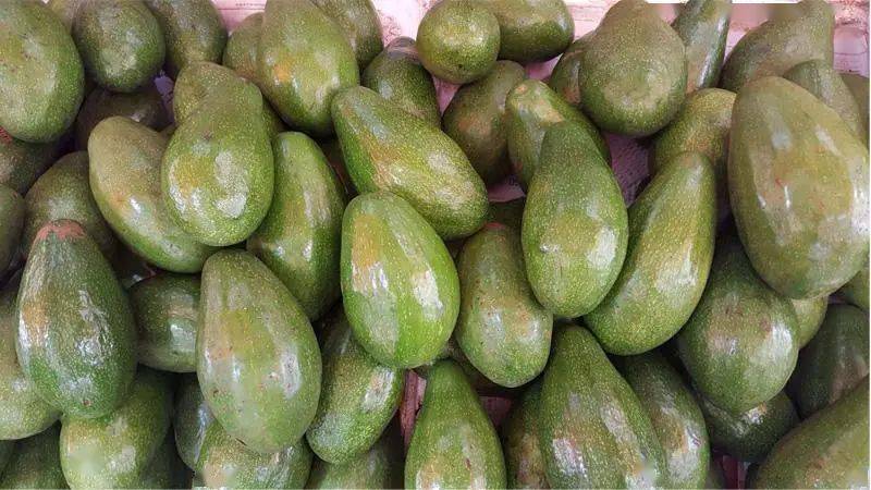 越南牛油果和百香果已锁定下一个目标:中国市场