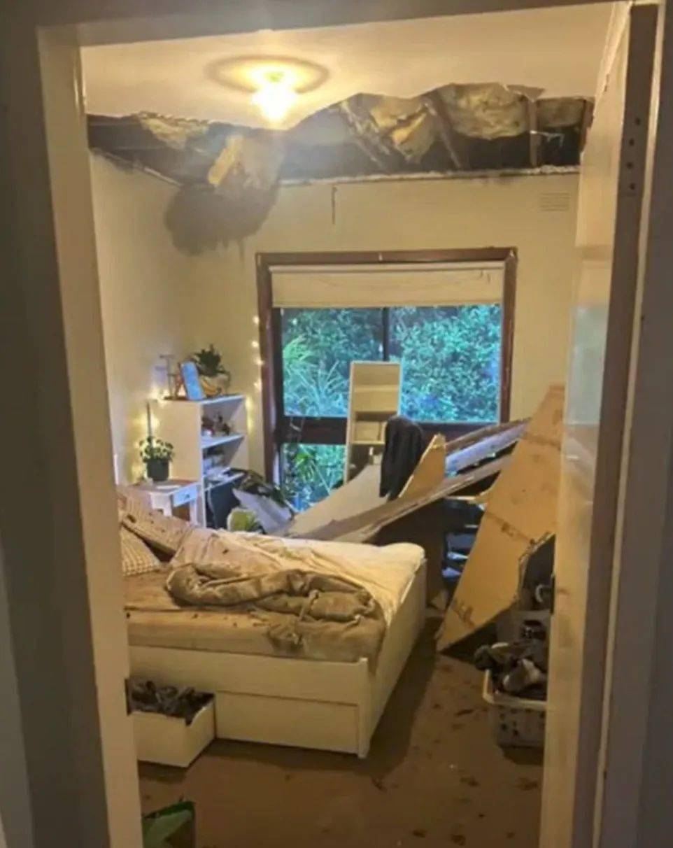 天花板塌了没人管,每周照收$500租金!