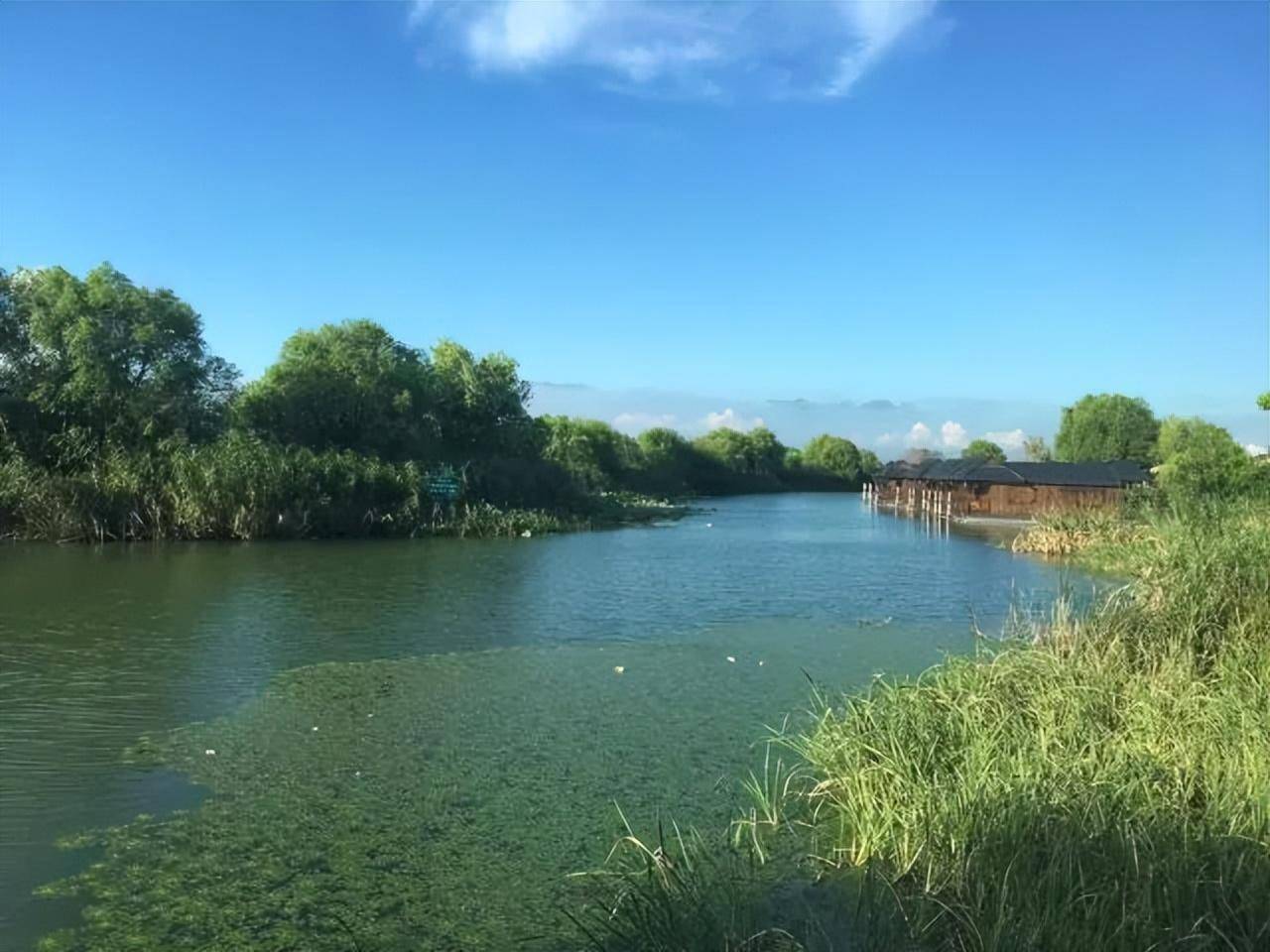 每一家都是"颜值风景"齐飞丨