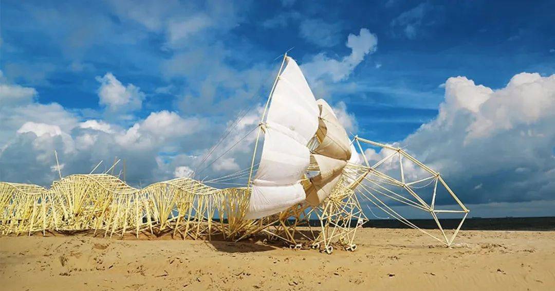 海滩"怪兽"_jansen_生活_风力