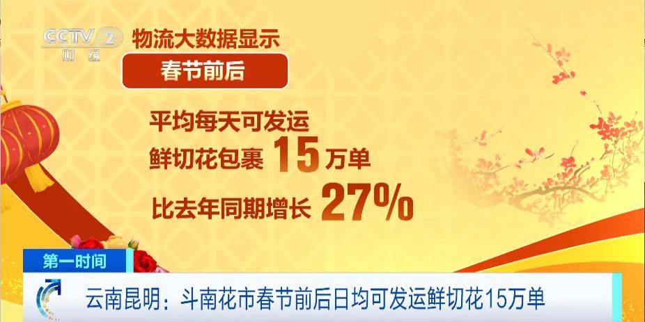 鲜花市场竞拍忙国内国外销量涨云南年宵花日均可发包裹15万单(图5)