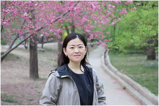 崔晶| 调适与弥合:基层"缝隙治理"中的政策执行研究_社会_政府_中国