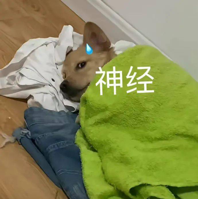 动态搞笑表情包:熊猫洗澡表情包_因为_公众_il