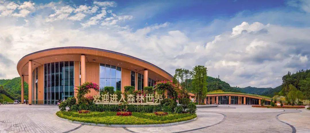 南宁2024春节期间文旅活动攻略(四)"惠游乐民 欢度新春"系列活动_优惠