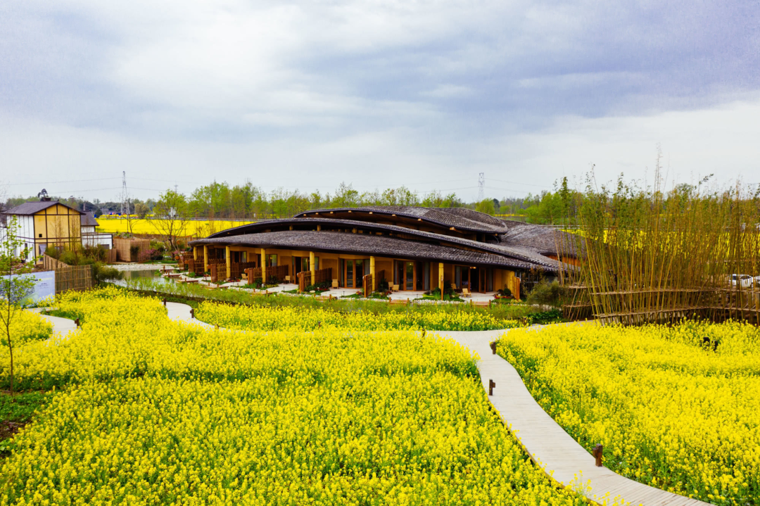 62亿元 成都市大邑县被命为"四川省乡村振兴先进县"_农业_林盘_工程