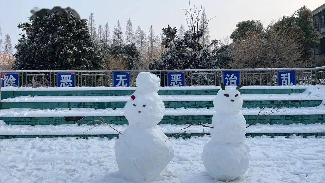 江陵網友秀才藝啦!花式堆雪人……_城區_白馬寺鎮_什麼