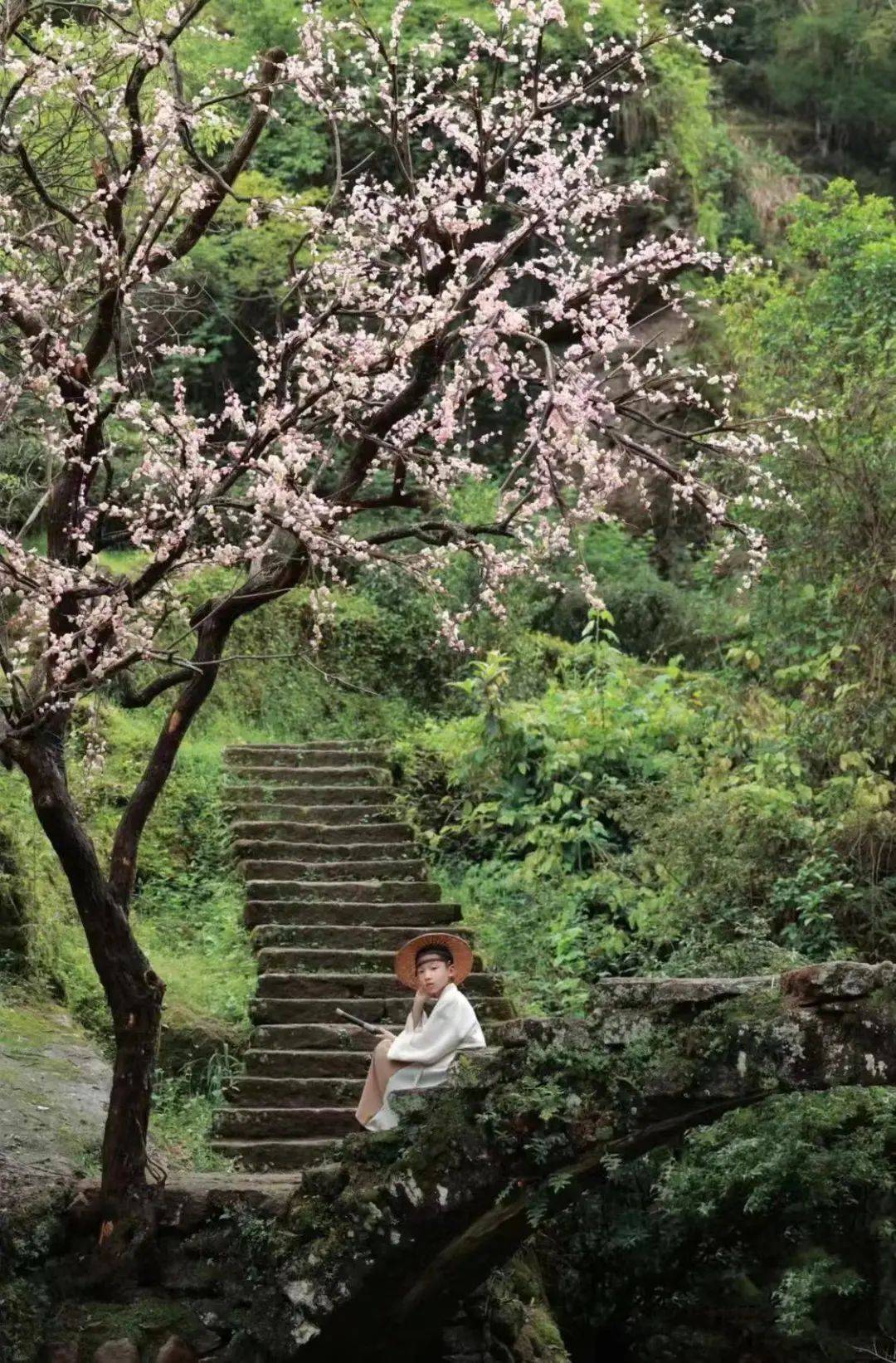 新春之旅 〉跟武夷山一起過龍年!_時間_地點_演出