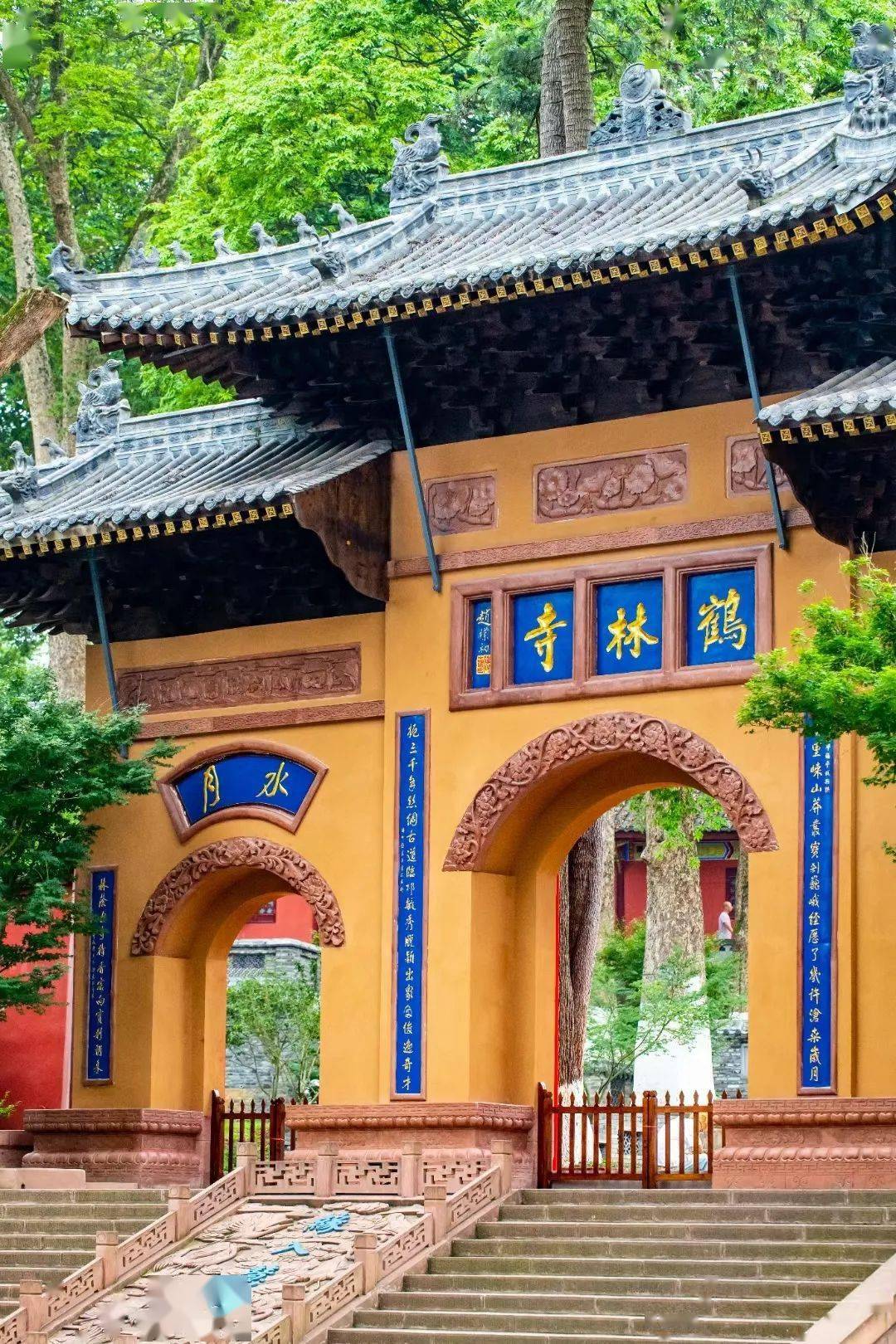 重现汉代相如风 吉祥花开颂盛世 ——鹤林寺首届白鹤山邛兰节_邛崃