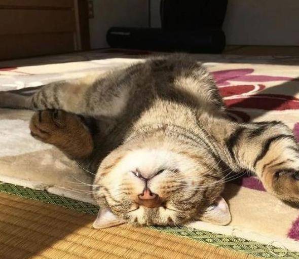 明起大反转!_天气_冷空气_海都