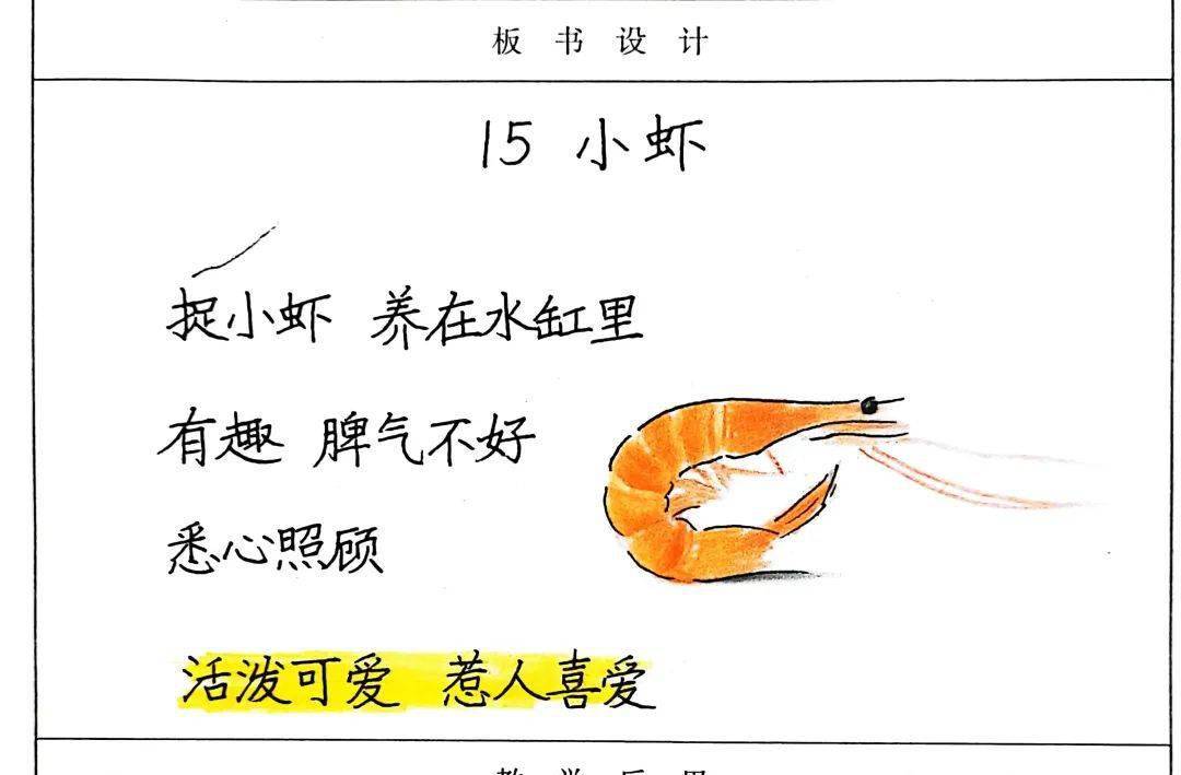 珍贵资源,2024年春季三下语文板书设计(完整版)
