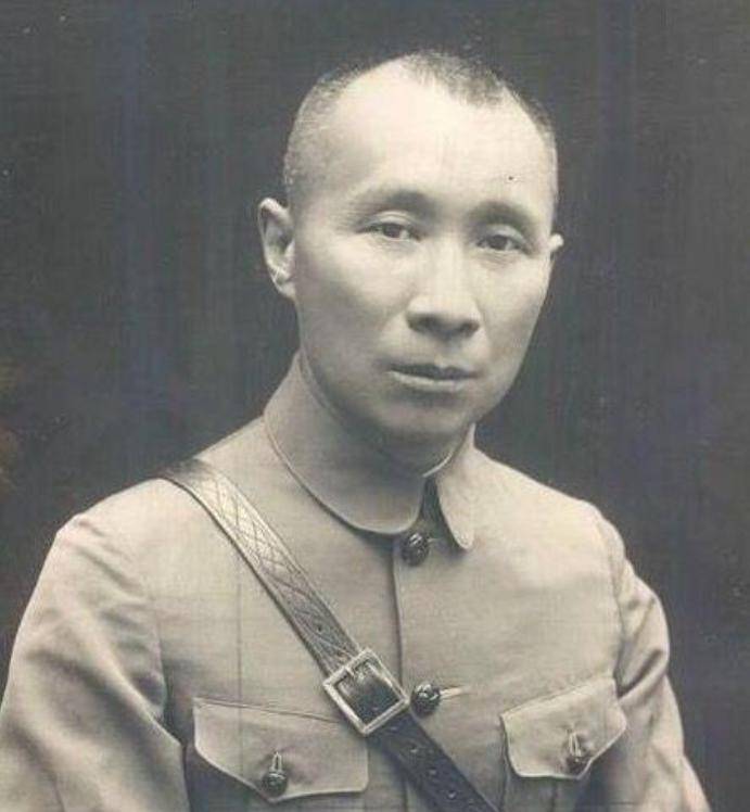 堪称蒋介石的苏秦,张仪_晋军_蒋军_蔡廷锴