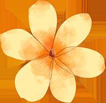 组工夜读 | 始于平凡,终将不凡_青春_梦想_人生